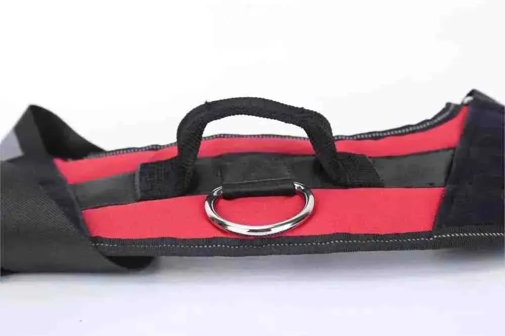 Peitoral Personalizado para Cachorros com Nome e Telefone, Ajustável e Refletivo - Safe Buddy